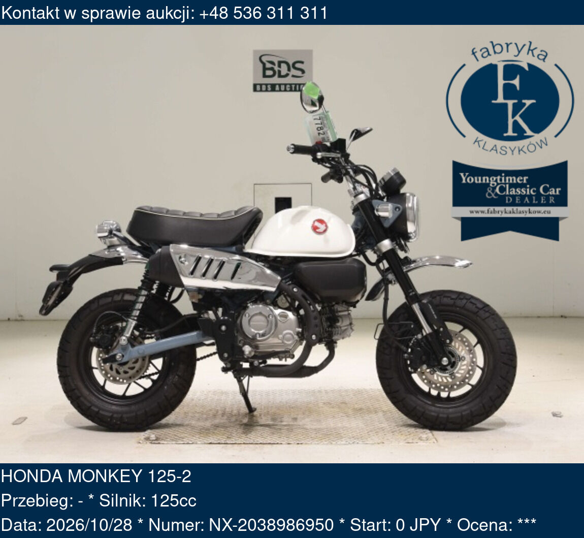 HONDA MONKEY 125-2  - zdjęcie 2