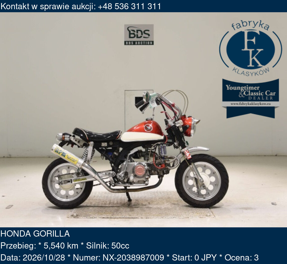HONDA GORILLA  - zdjęcie 2