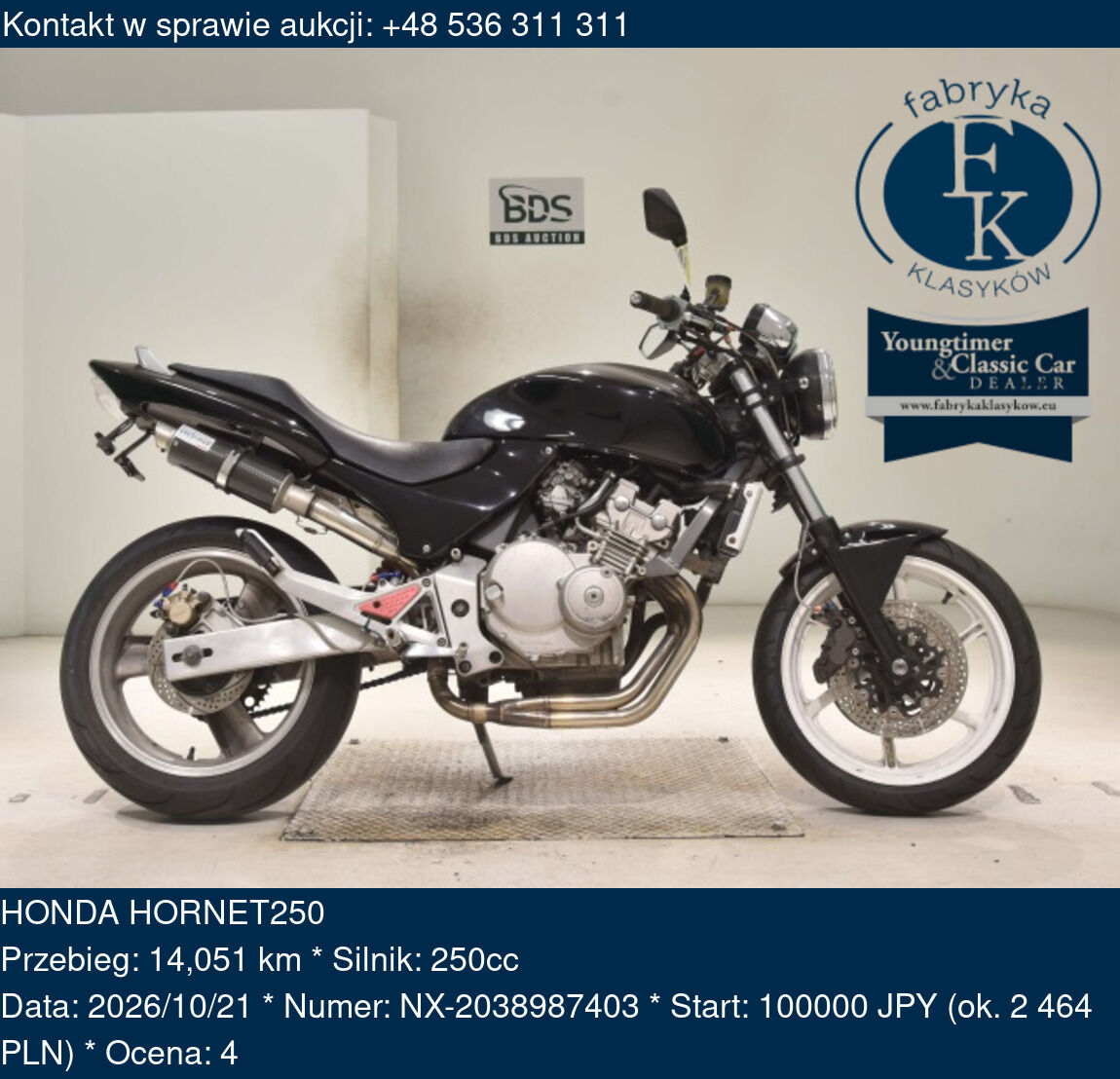HONDA HORNET250  - zdjęcie 2