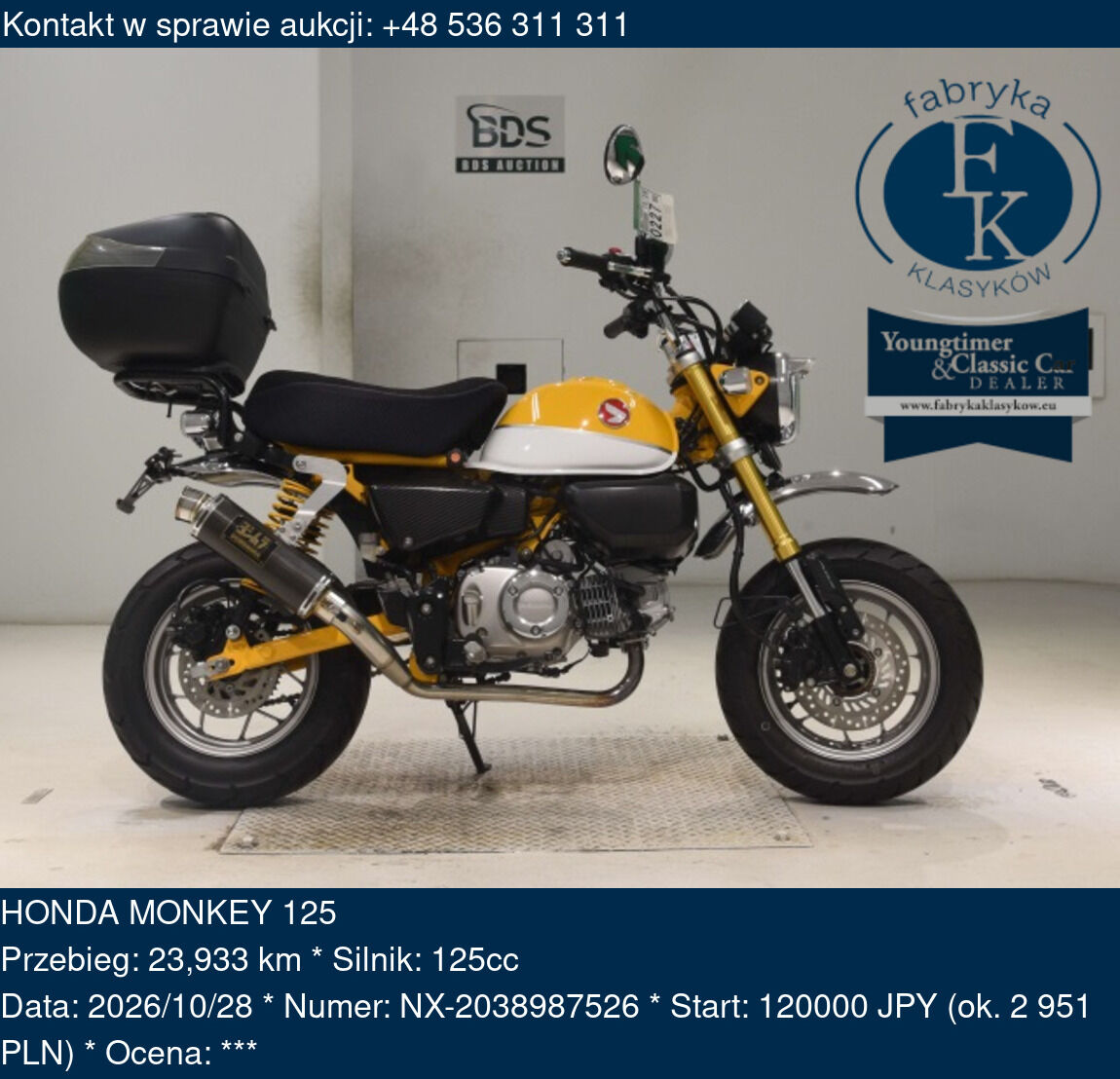 HONDA MONKEY 125  - zdjęcie 2