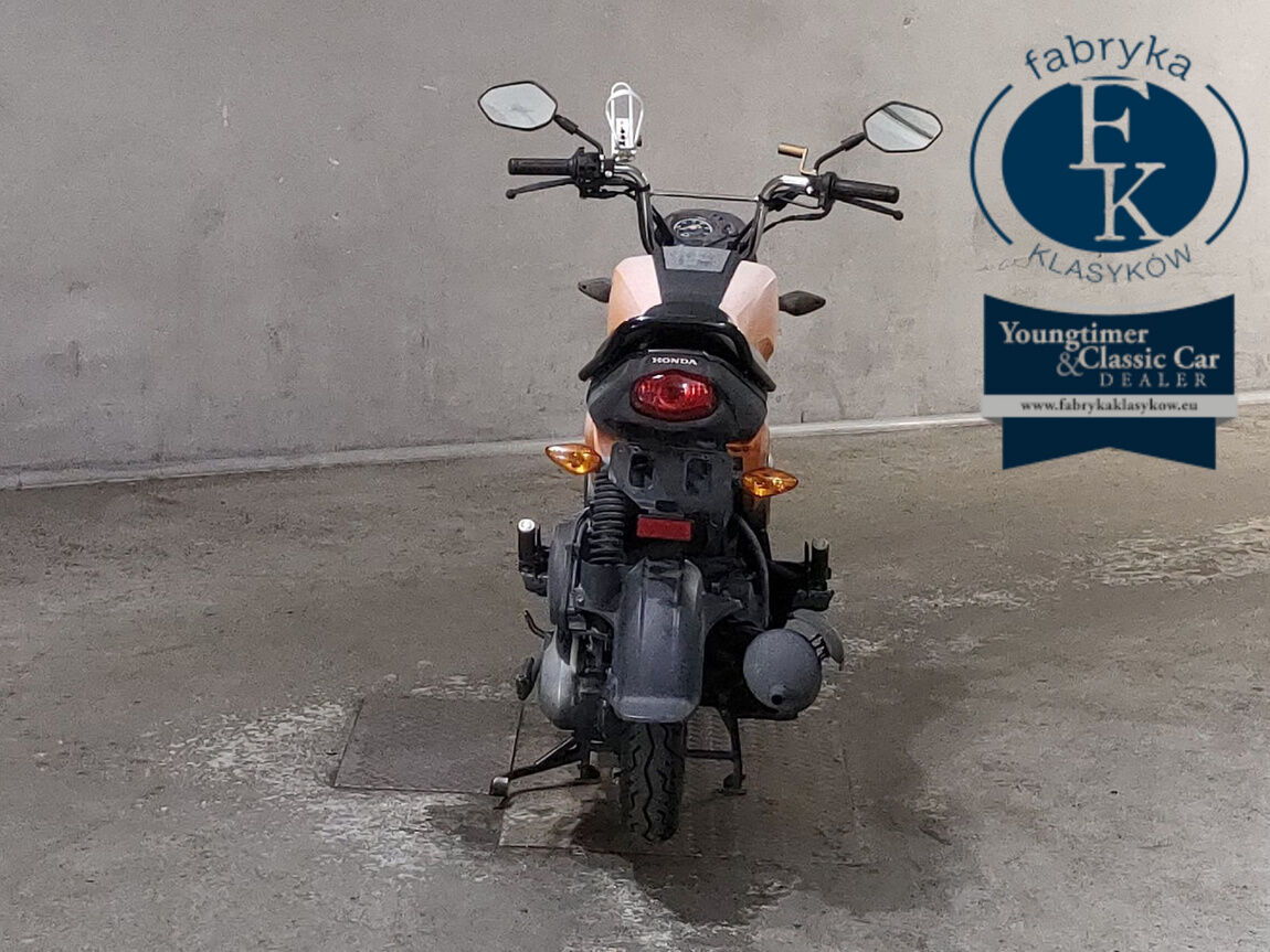 HONDA NAVI110 - zdjęcie 5