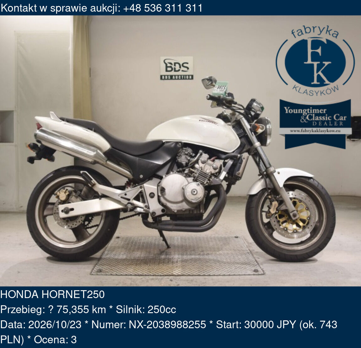 HONDA HORNET250  - zdjęcie 2