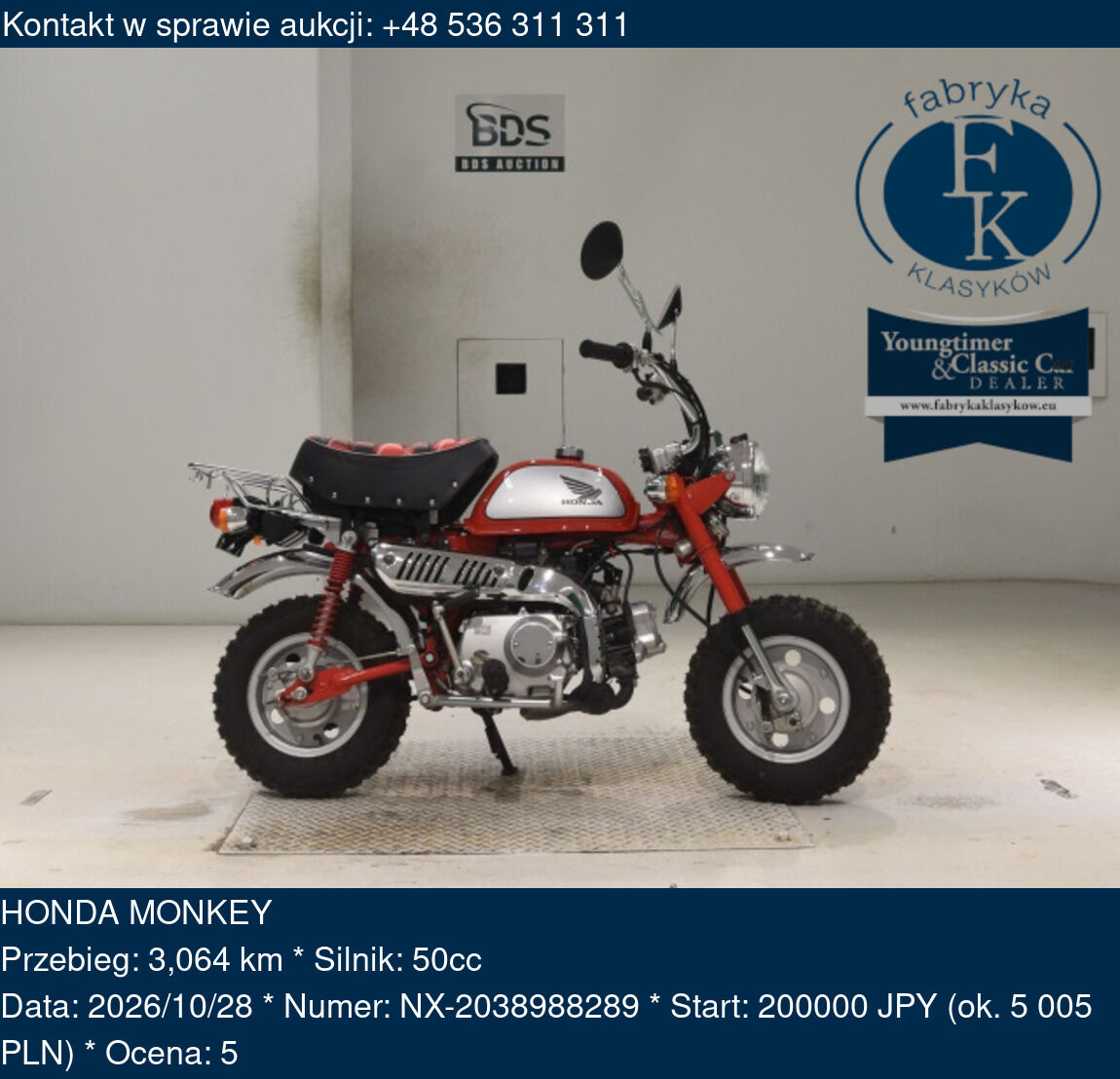 HONDA MONKEY  - zdjęcie 2