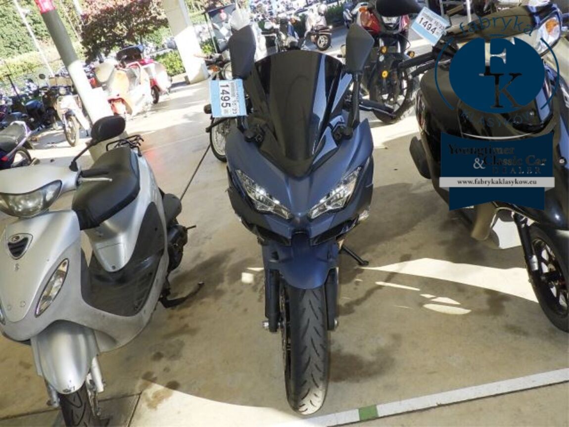KAWASAKI CANCELLATION 2025 - zdjęcie 16