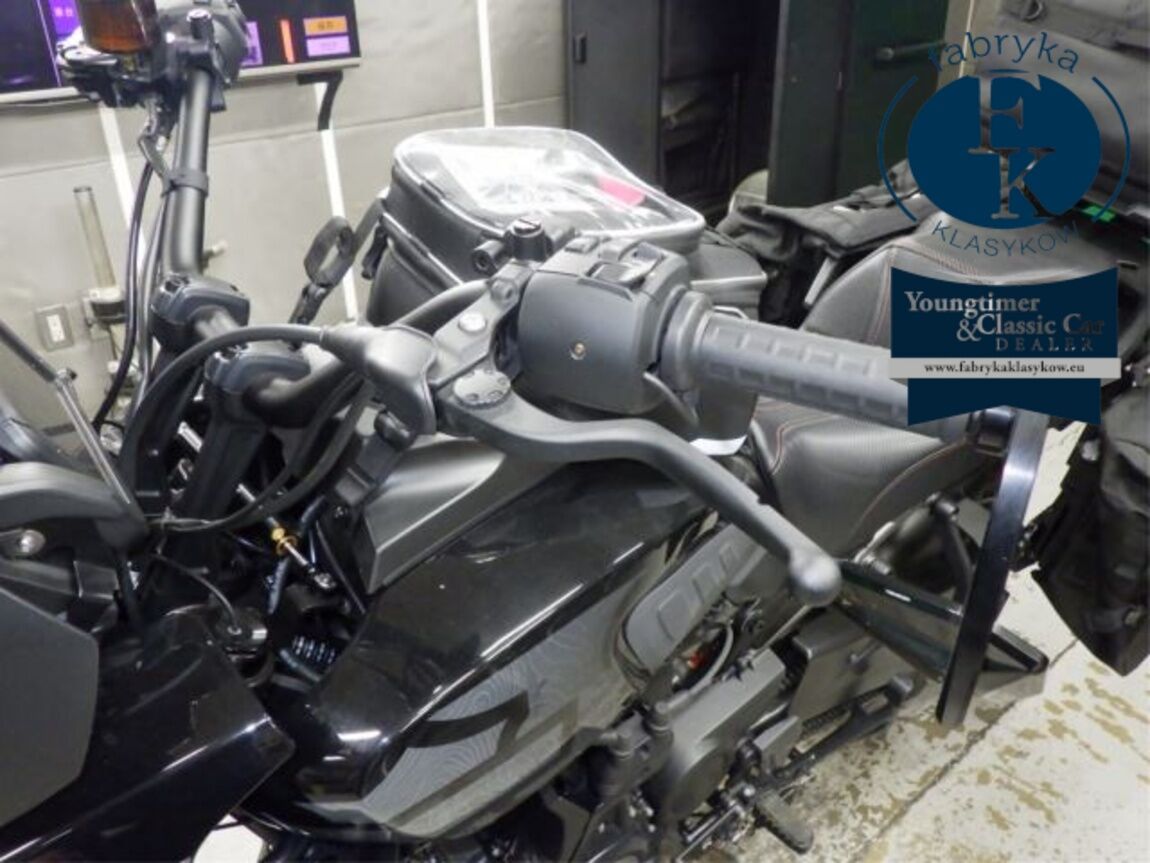 HARLEY-DAVIDSON PAN AMERICA 1250S 2024 - zdjęcie 21