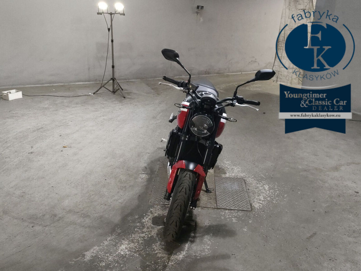 TRIUMPH TRIDENT 660 2025 - zdjęcie 4