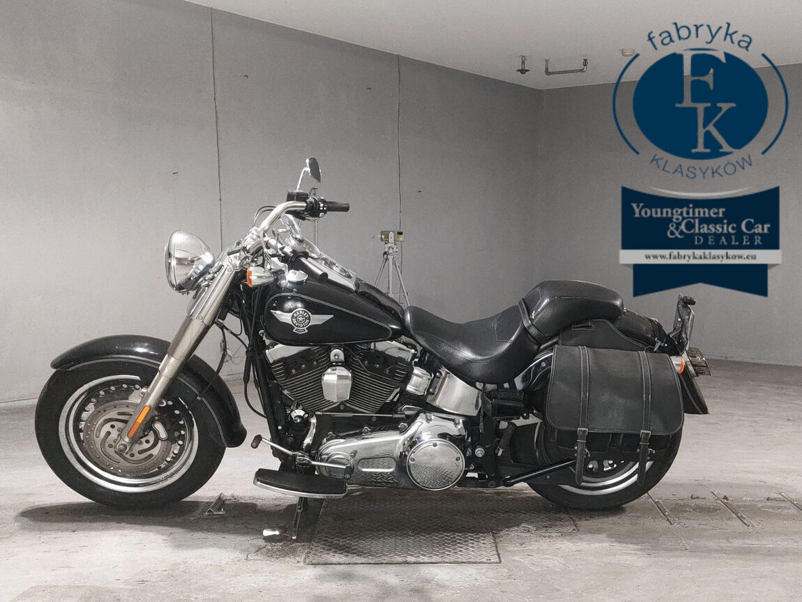 HARLEY-DAVIDSON FLSTF1580 2014 - zdjęcie 3