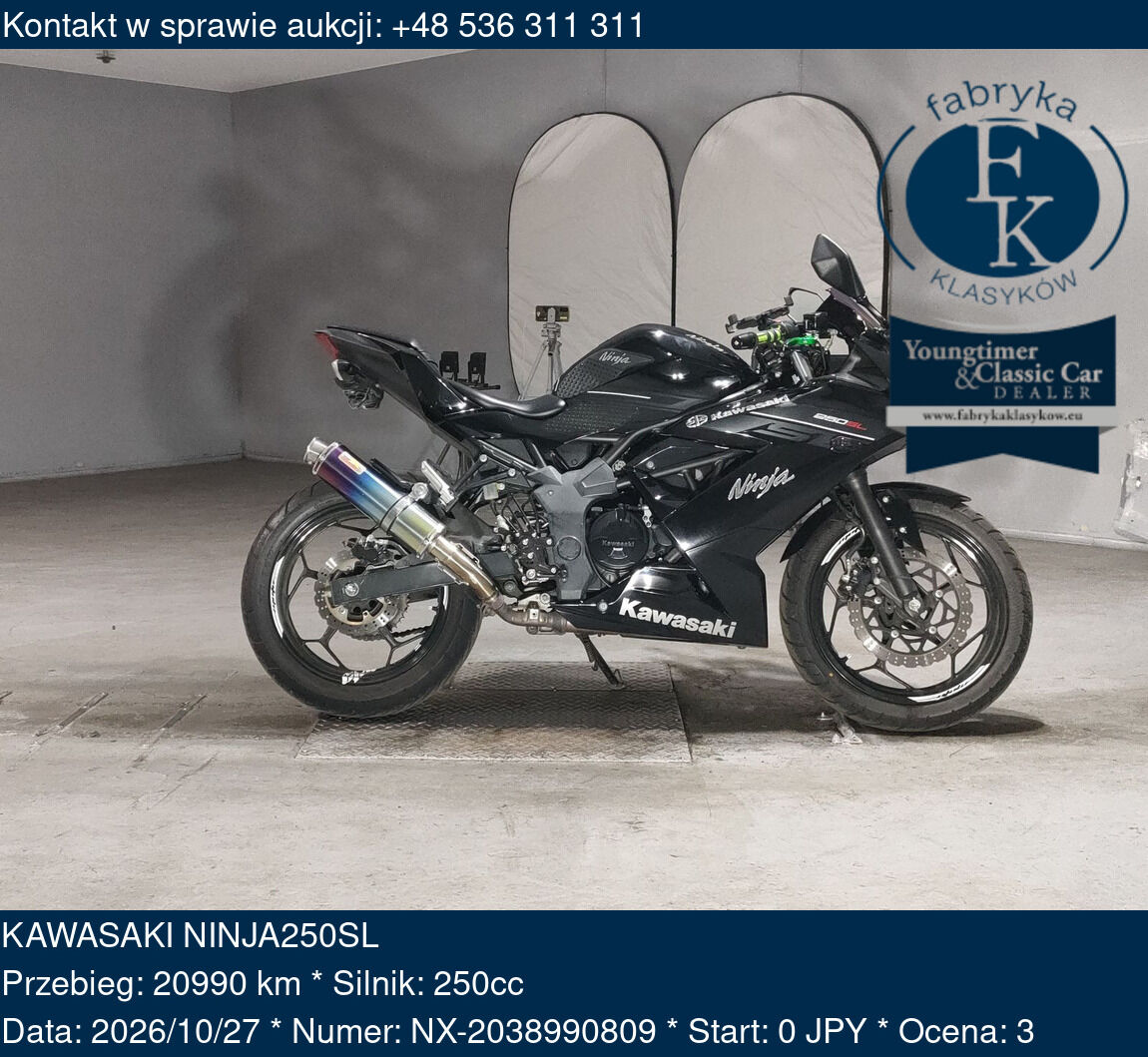 KAWASAKI NINJA250SL  - zdjęcie 2