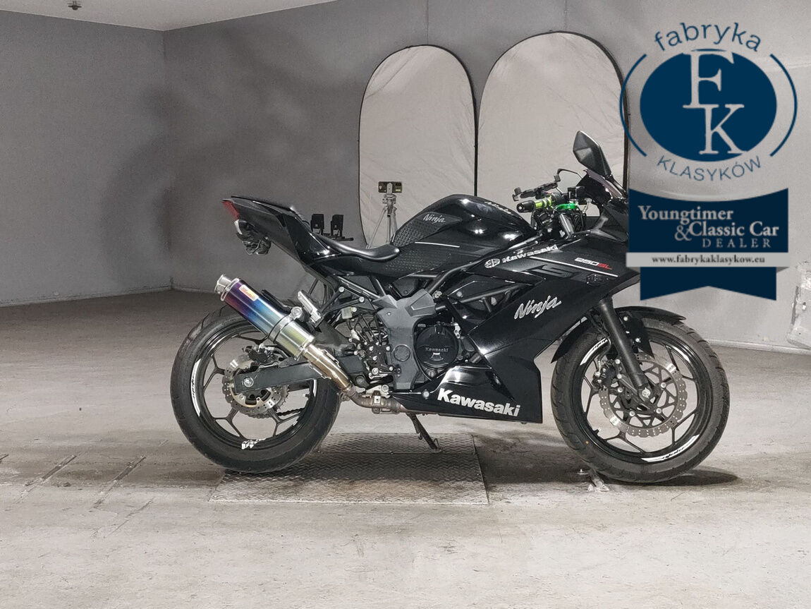 KAWASAKI NINJA250SL  - aukcja, lot NX-2038990809
