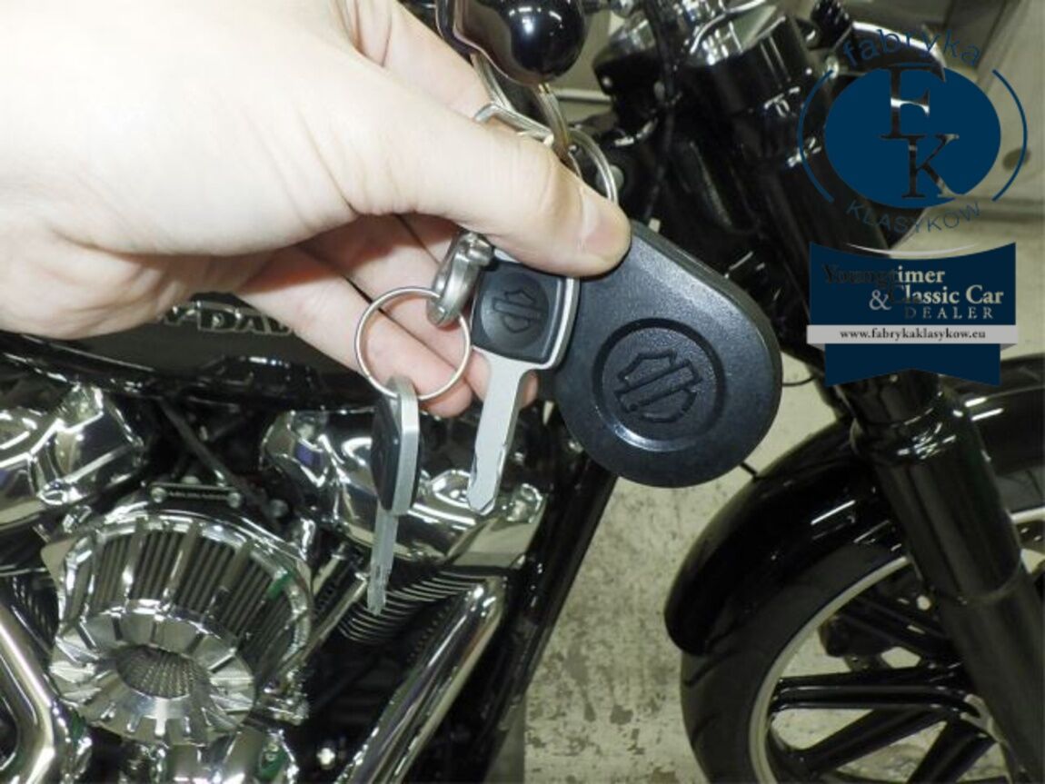 HARLEY-DAVIDSON FXBRS1870 2021 - zdjęcie 17