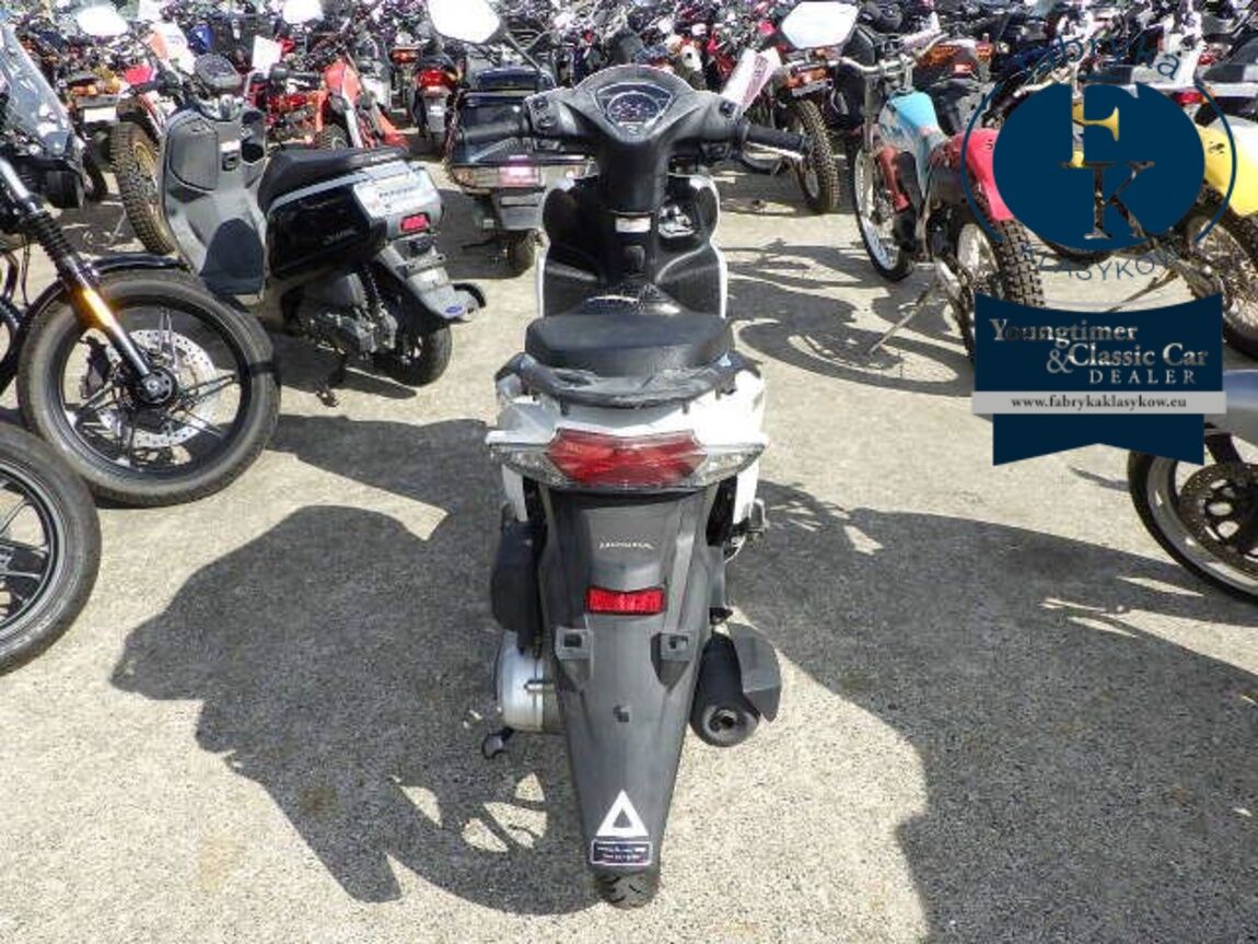 HONDA DIO110-3 BASIC  - zdjęcie 20