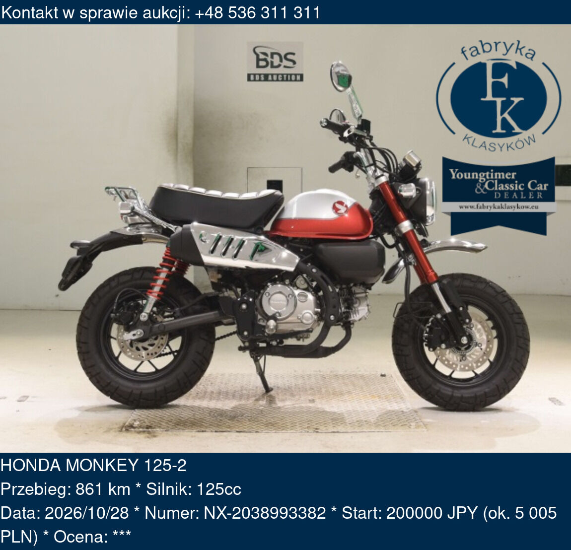 HONDA MONKEY 125-2  - zdjęcie 2