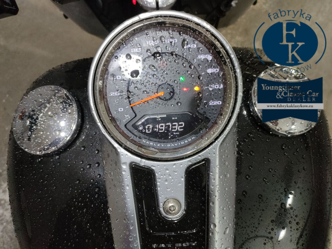 HARLEY-DAVIDSON FLFB1750 2018 - zdjęcie 6