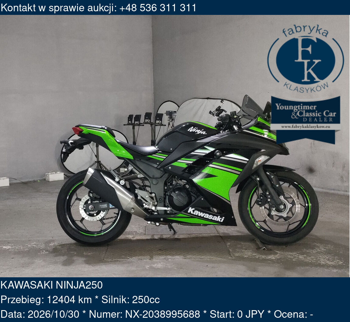 KAWASAKI NINJA250  - zdjęcie 2
