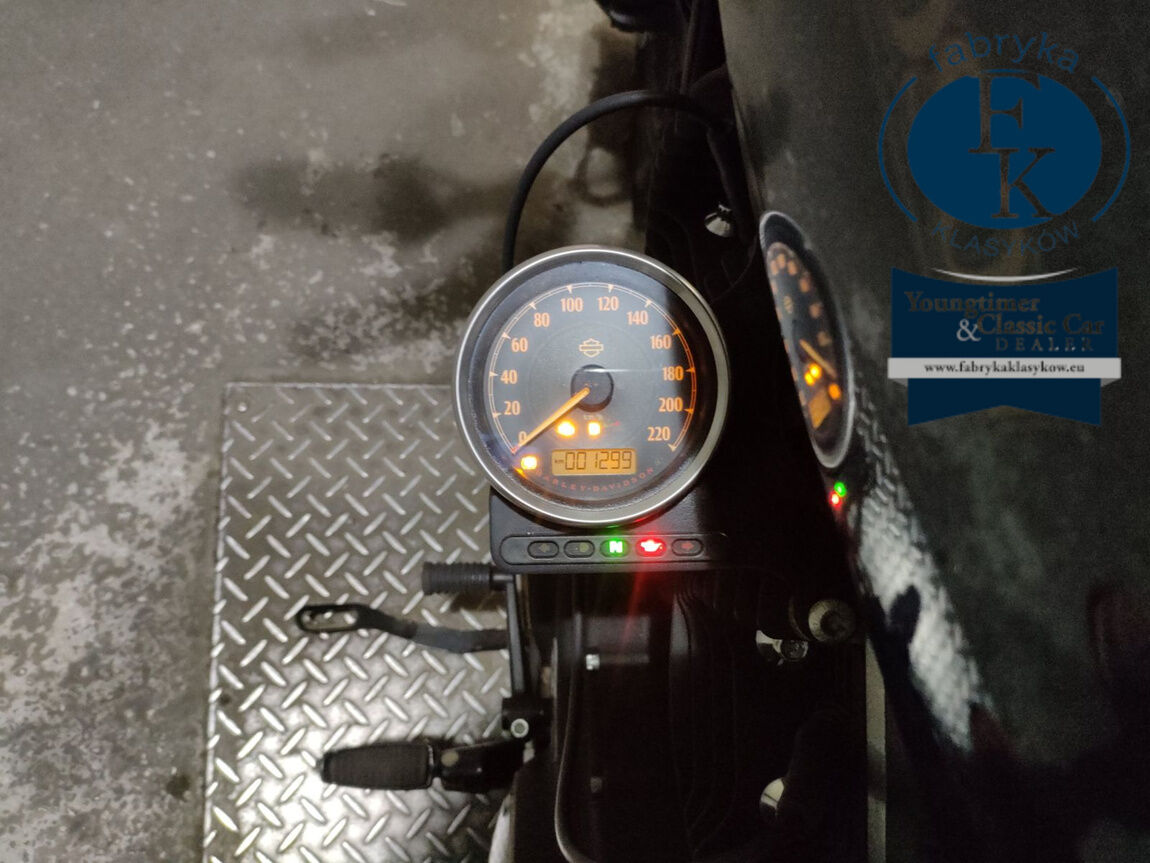 HARLEY-DAVIDSON XL883N 2018 - zdjęcie 6