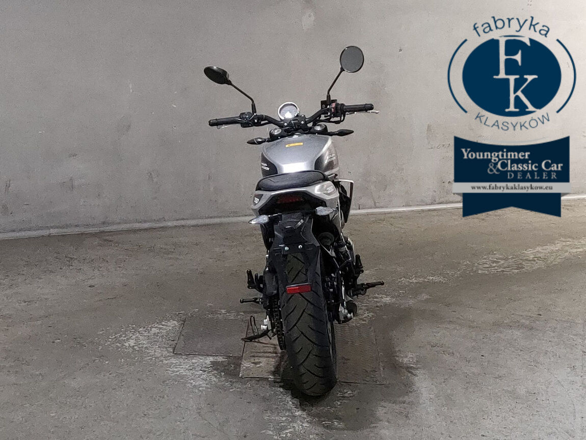 HARLEY-DAVIDSON X350 2024 - zdjęcie 5