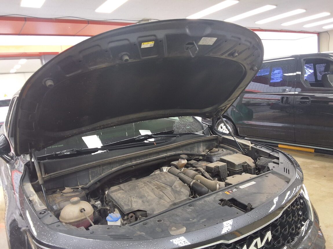 KIA NEW SORENTO (MQ4) 2.5 GASOLINE 2WD NOBLESSE 2023 - zdjęcie 18