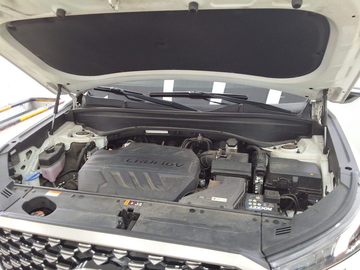 HYUNDAI PALISADE 2.2 DIESEL CALLIGRAPHY 2022 - zdjęcie 21