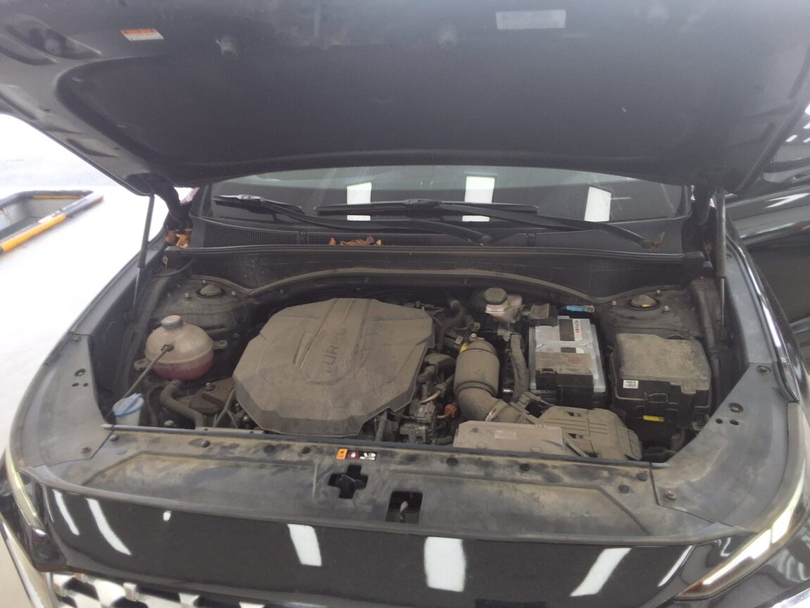 HYUNDAI THE NEW SANTA FE DIESEL 2.2 2WD PREMIUM 2021 - zdjęcie 20