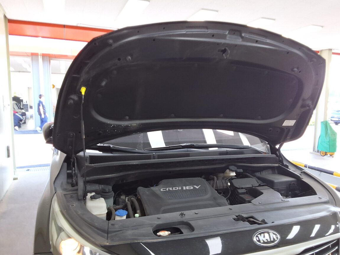 KIA ALL NEW CARNIVAL 9-SEATER DIESEL PRESTIGE 2018 - zdjęcie 18