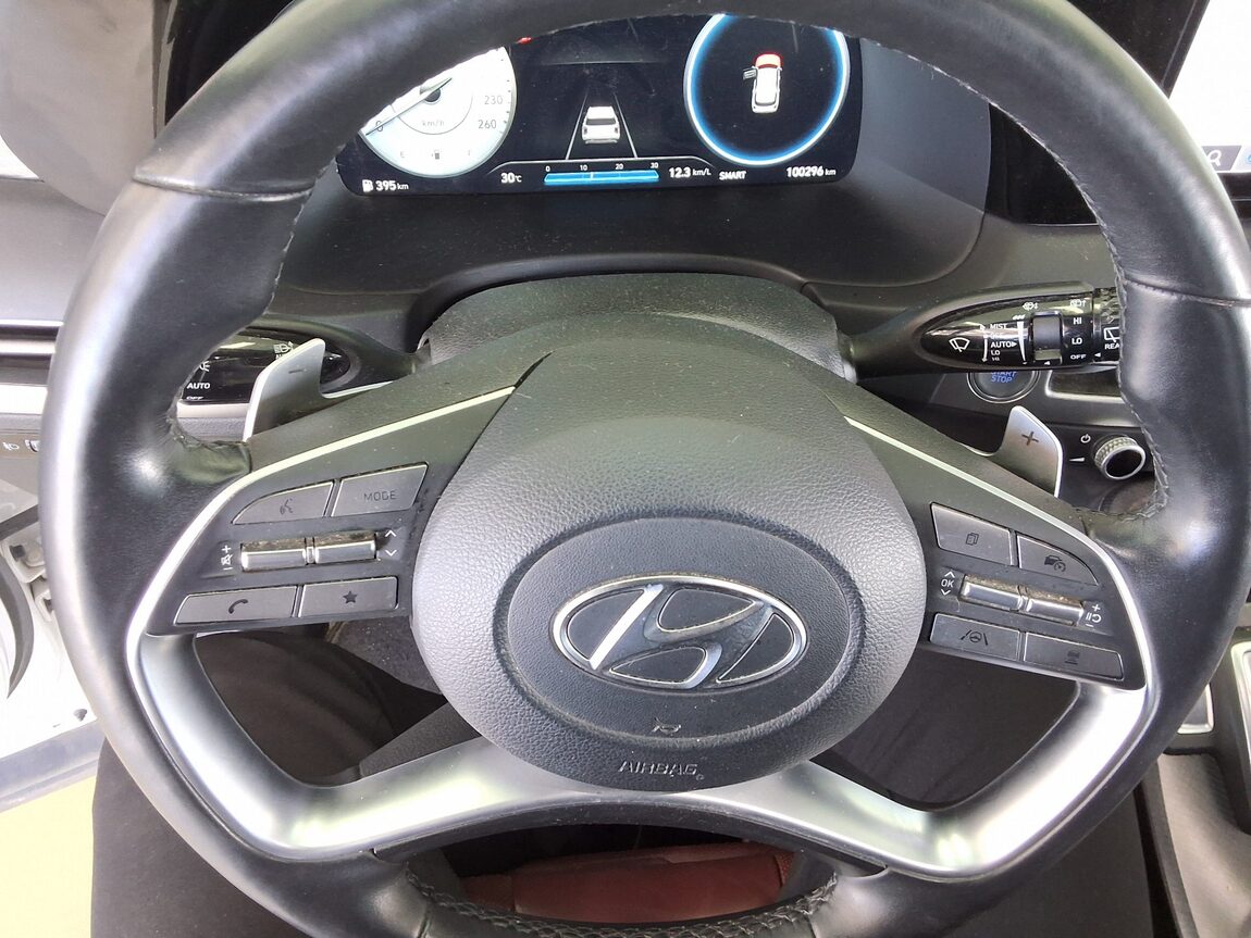 HYUNDAI THE NEW PALISADE 2.2 DIESEL 2WD PRESTIGE 2023 - zdjęcie 17