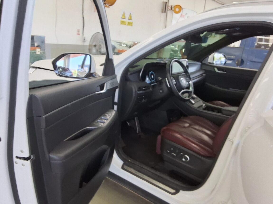 HYUNDAI THE NEW PALISADE 2.2 DIESEL 2WD PRESTIGE 2023 - zdjęcie 10
