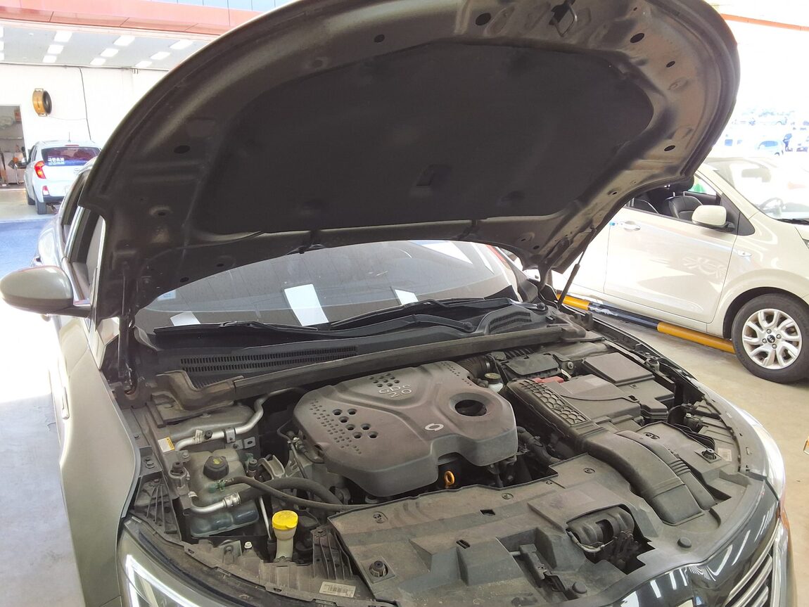 RENAULT (SAMSUNG) SM6 2.0 GDe RE 2017 - zdjęcie 18