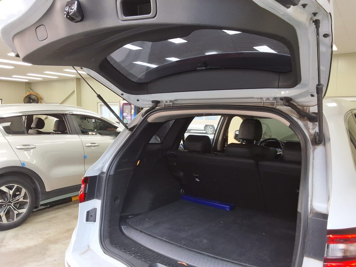 RENAULT (SAMSUNG) THE NEW QM6 2.0 LPe SE 2020 - zdjęcie 16