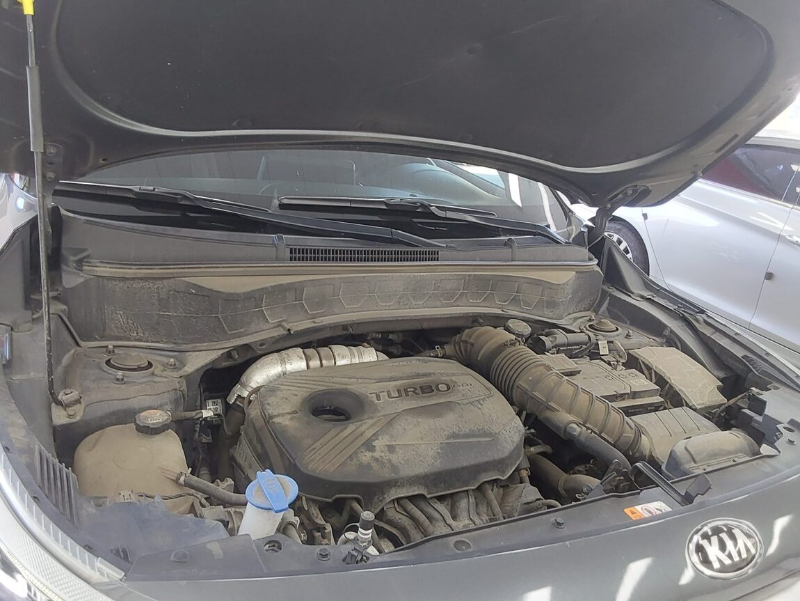 KIA SELTOS 1.6 GASOLINE 2WD SIGNATURE 2021 - zdjęcie 19