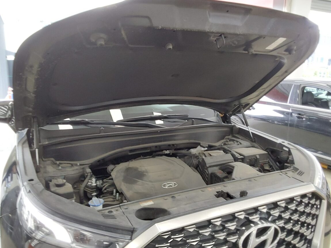 HYUNDAI PALISADE 3.8 GASOLINE AWD CALLIGRAPHY 2022 - zdjęcie 20