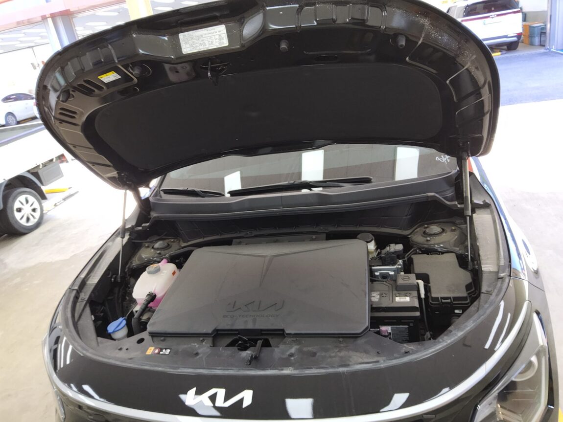 KIA THE ALL NEW NIRO EV AIR 2024 - zdjęcie 20