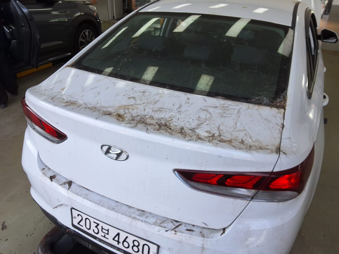 HYUNDAI LF SONATA NEW RISE 2.0 CVVL POLICE VEHICLE 2019 - zdjęcie 28