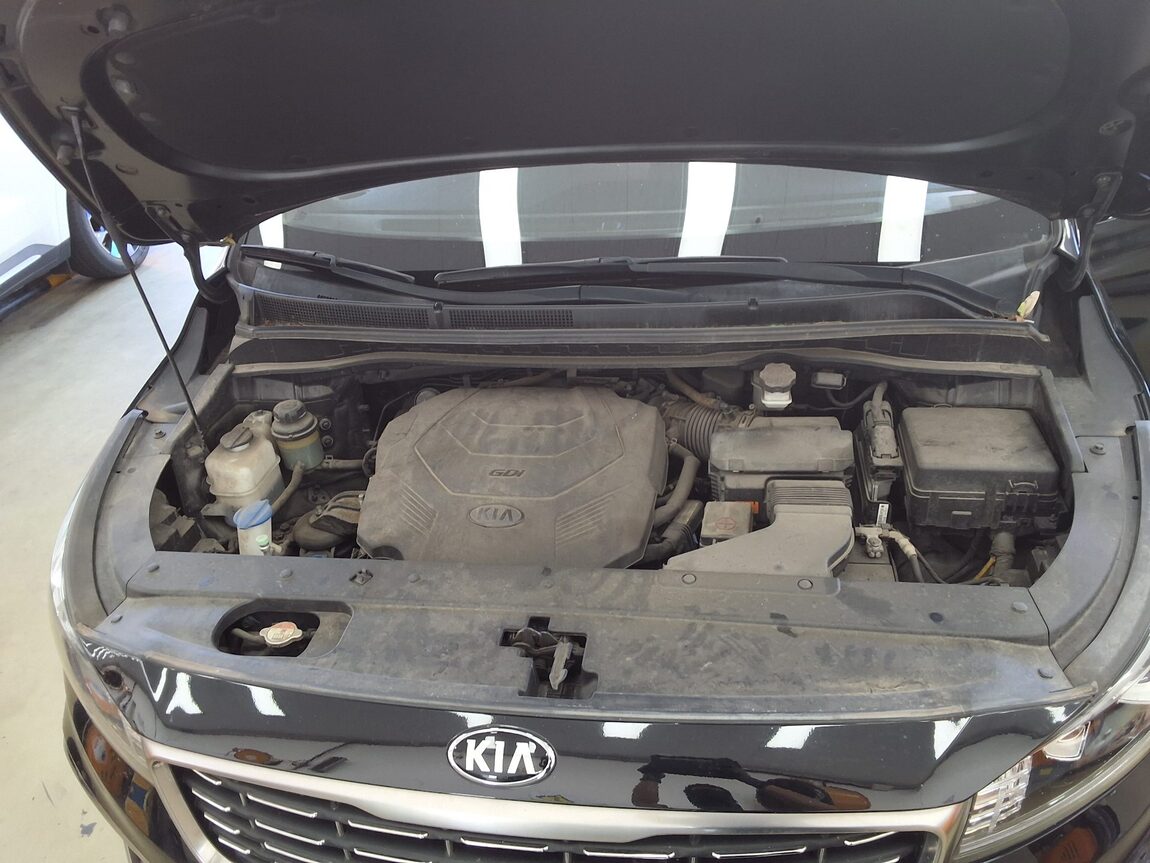 KIA THE NEW CARNIVAL LIMOUSINE 7-SEATER GASOLINE PRESIDENT 2019 - zdjęcie 21