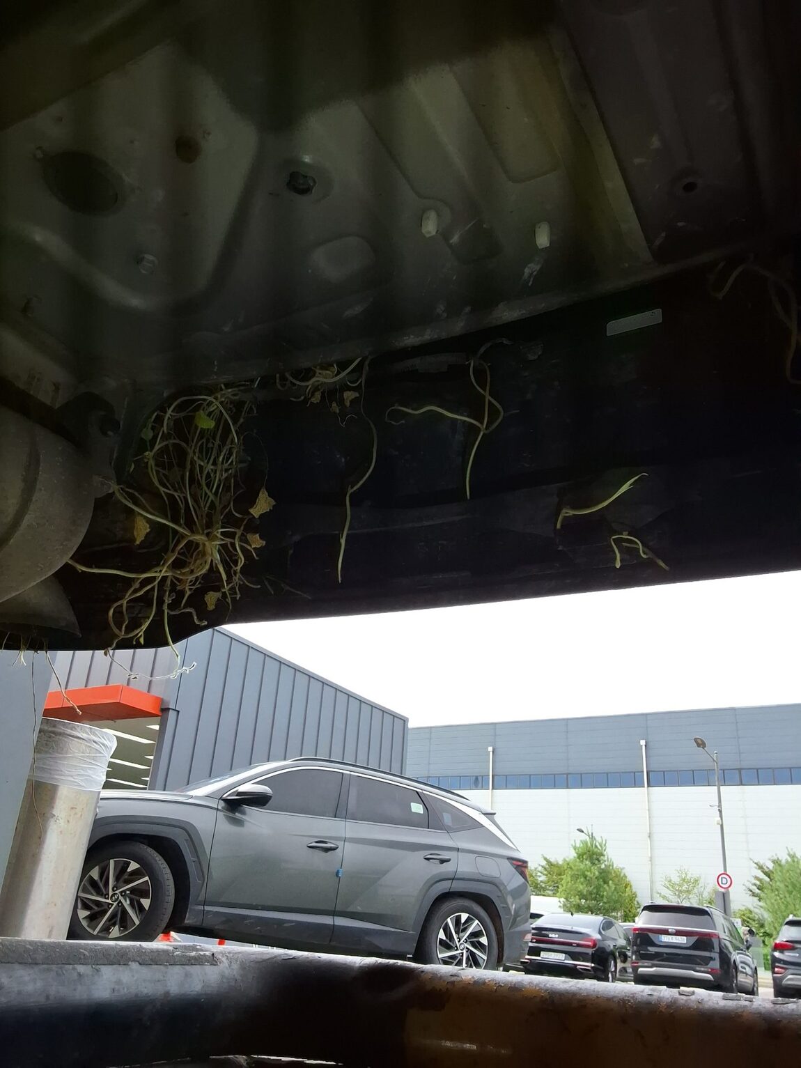 KIA NEW SORENTO (MQ4) 2.2 DIESEL 2WD PRESTIGE 2021 - zdjęcie 29