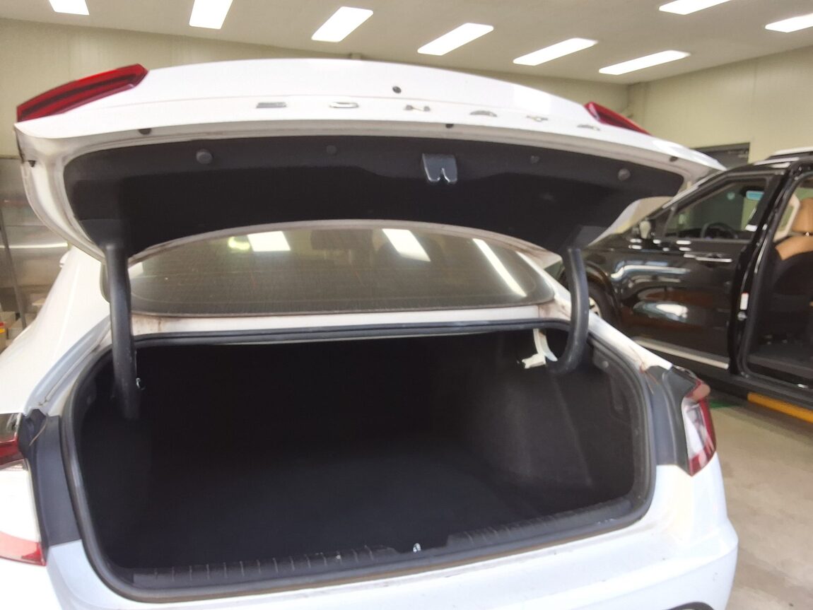 HYUNDAI SONATA (DN8) G2.0 PREMIUM 2020 - zdjęcie 16
