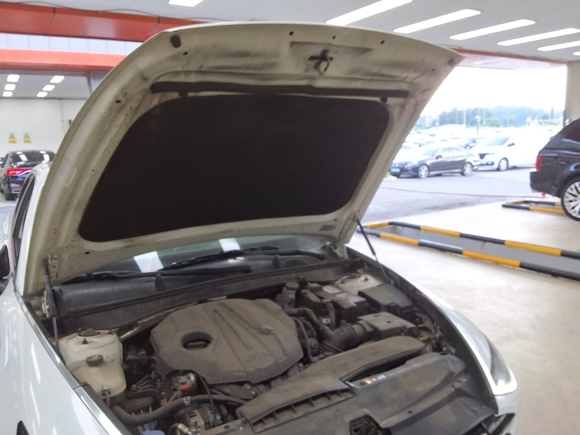 HYUNDAI SONATA (DN8) G2.0 PREMIUM 2020 - zdjęcie 18