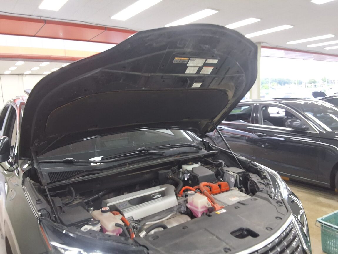 LEXUS NX 300h 2019 - zdjęcie 18