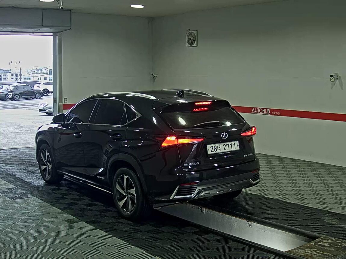 LEXUS NX 300h 2019 - zdjęcie 6
