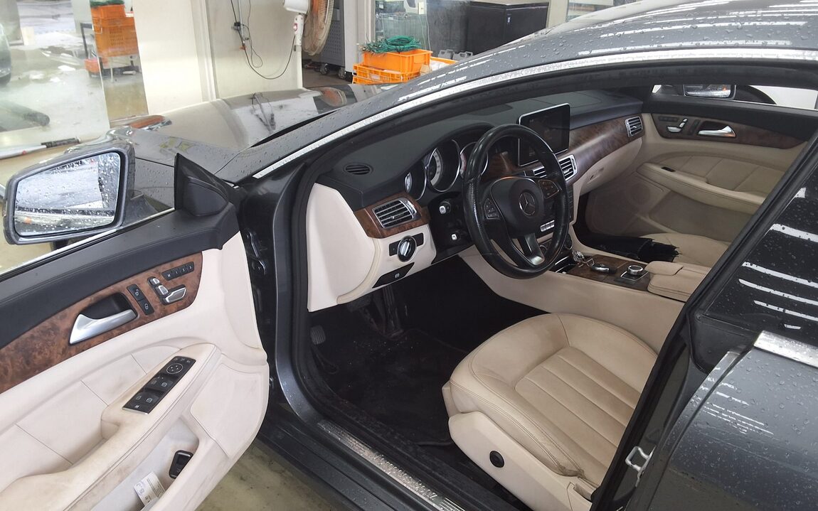 MERCEDES-BENZ CLS-CLASS (2ND GEN) CLS250 d 4MATIC 2016 - zdjęcie 10