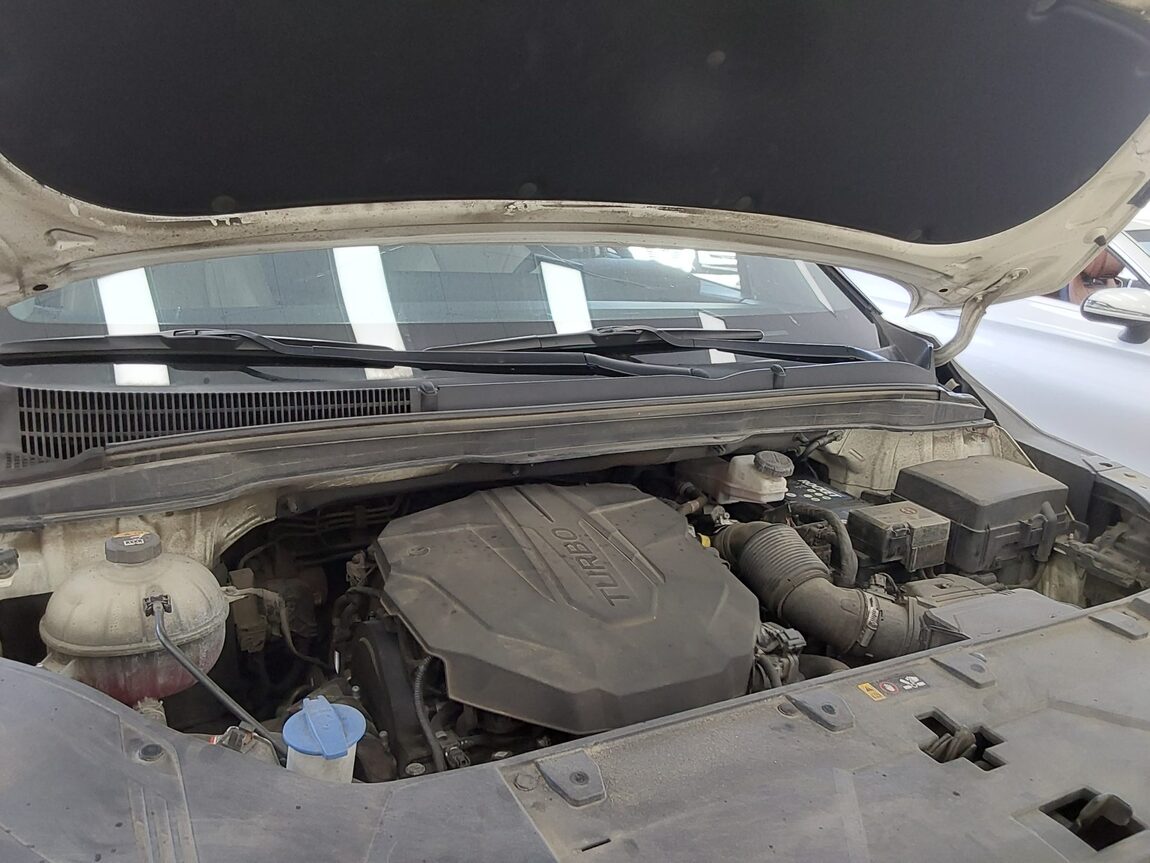 KIA NEW CARNIVAL (KA4) 9-SEATER DIESEL SIGNATURE 2021 - zdjęcie 18