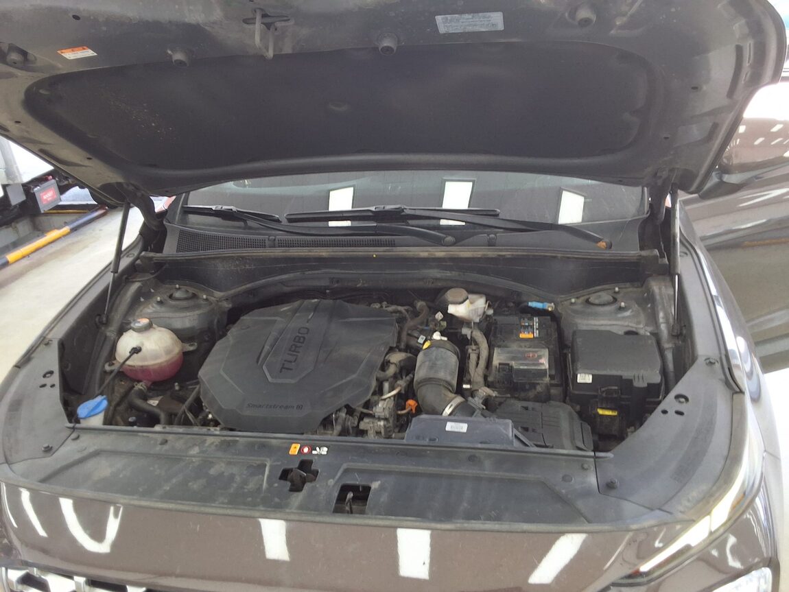 HYUNDAI THE NEW SANTA FE DIESEL 2.2 2WD PREMIUM CHOICE 2021 - zdjęcie 20