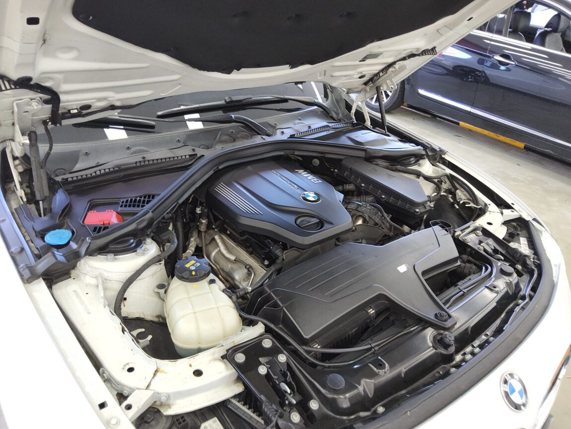 BMW 3 SERIES (6TH GEN) 320d ED EDITION 2016 - zdjęcie 19