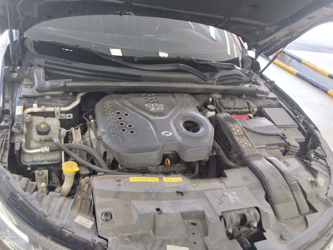 RENAULT (SAMSUNG) SM6 2.0 GDe LE 2019 - zdjęcie 20