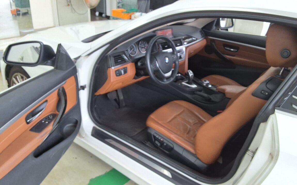 BMW 4 SERIES (1ST GEN) COUPE 420d LUXURY 2014 - zdjęcie 10