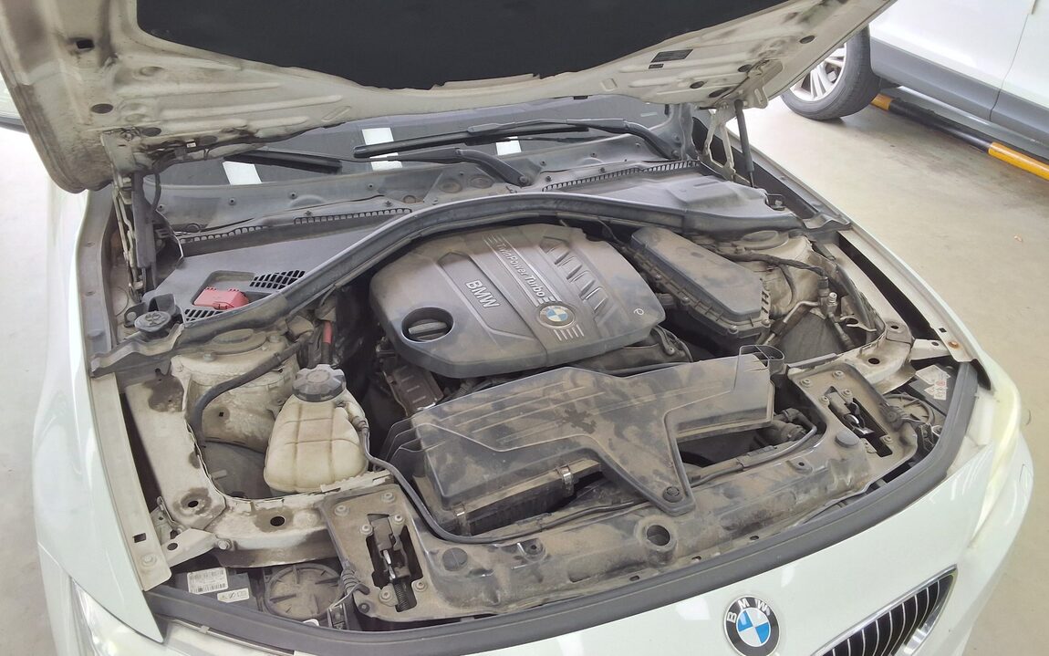 BMW 4 SERIES (1ST GEN) COUPE 420d LUXURY 2014 - zdjęcie 19
