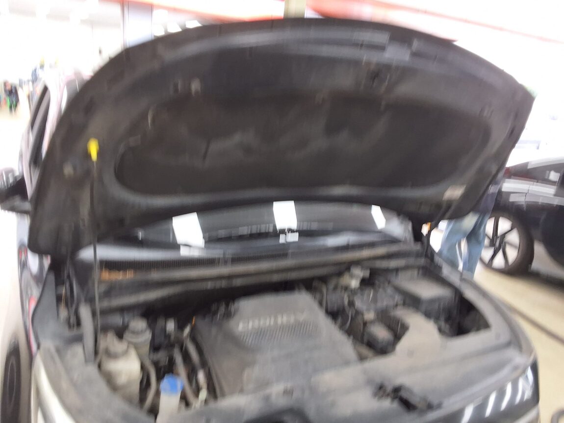 KIA ALL NEW CARNIVAL 9-SEATER DIESEL PRESTIGE 2016 - zdjęcie 18
