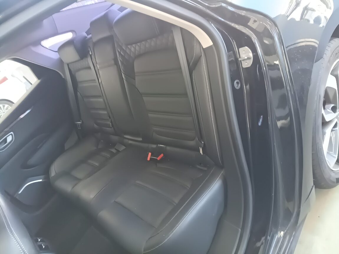 RENAULT (SAMSUNG) SM6 2.0 GDe RE 2019 - zdjęcie 19