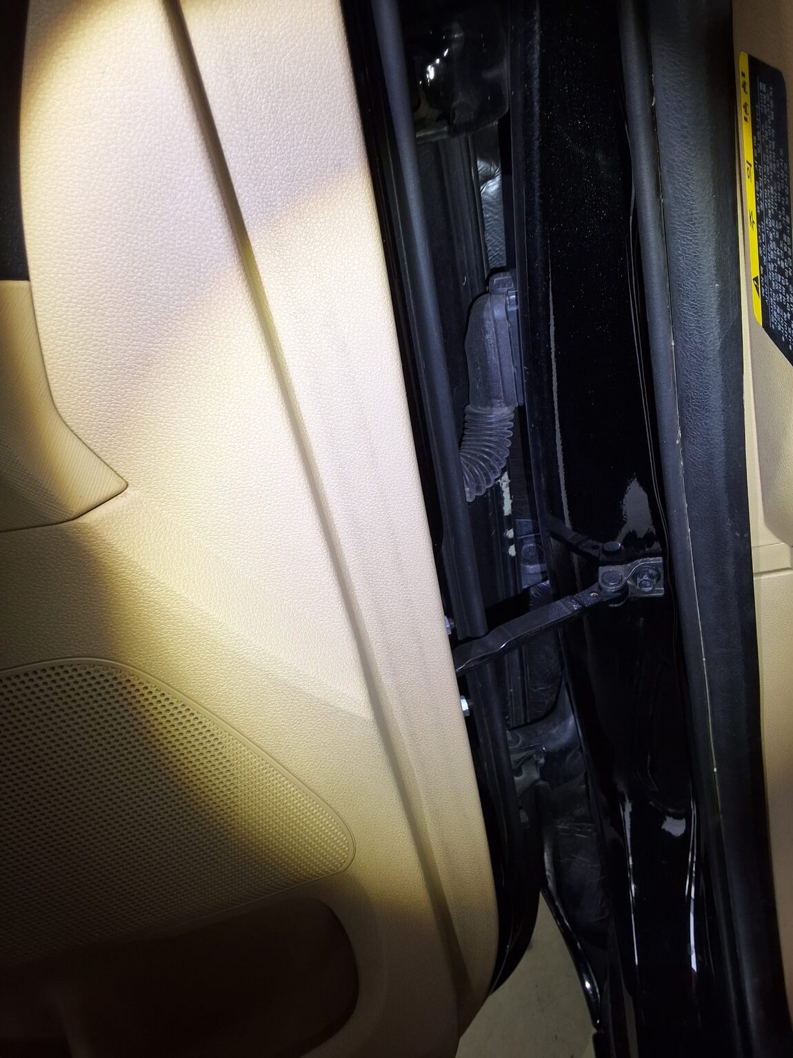 KIA THE NEW CARNIVAL 9-SEATER DIESEL LUXURY 2019 - zdjęcie 32