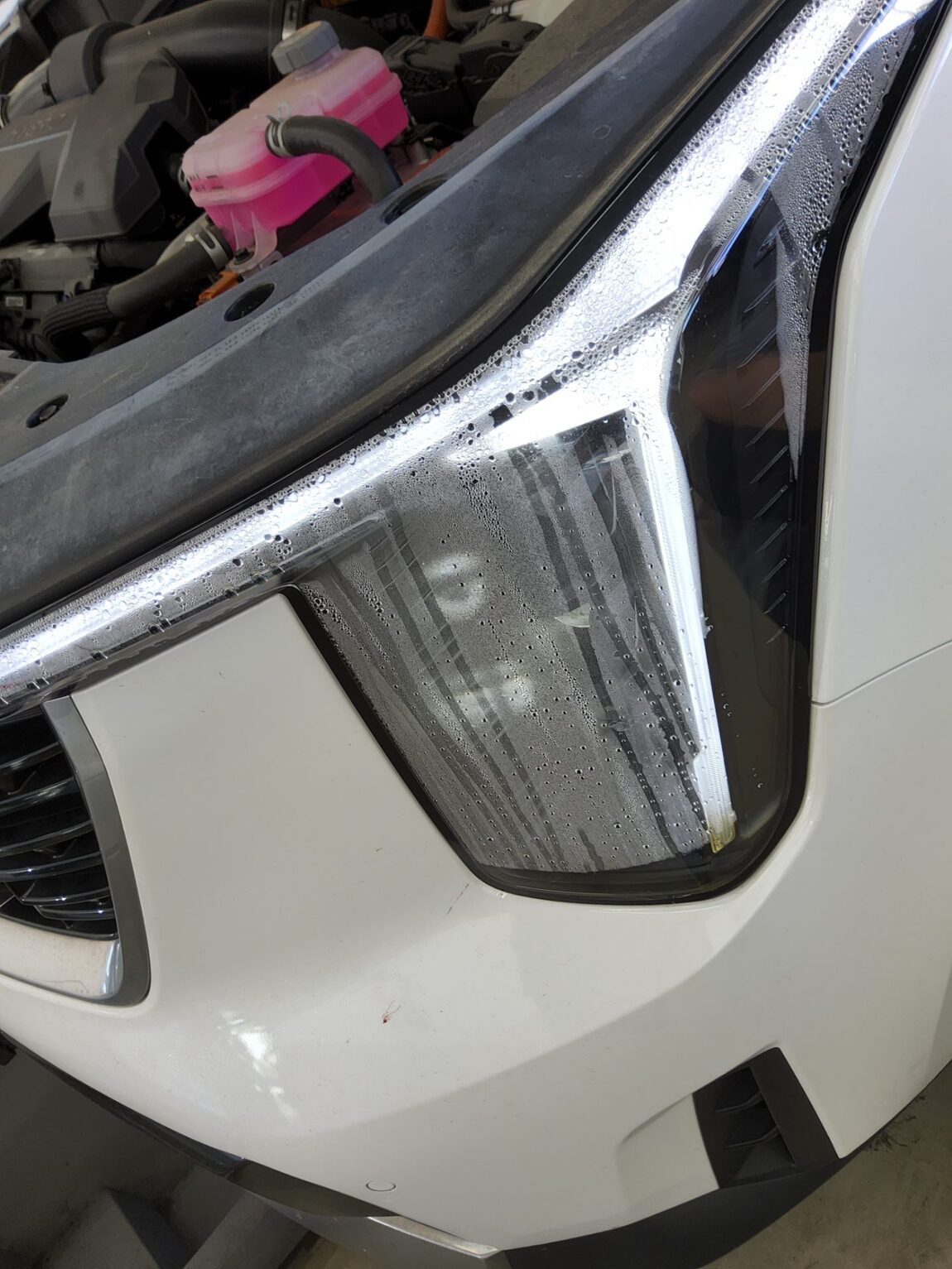 KIA THE NEW SORENTO HYBRID (MQ4) 1.6 HEV 2WD NOBLESSE 2024 - zdjęcie 20