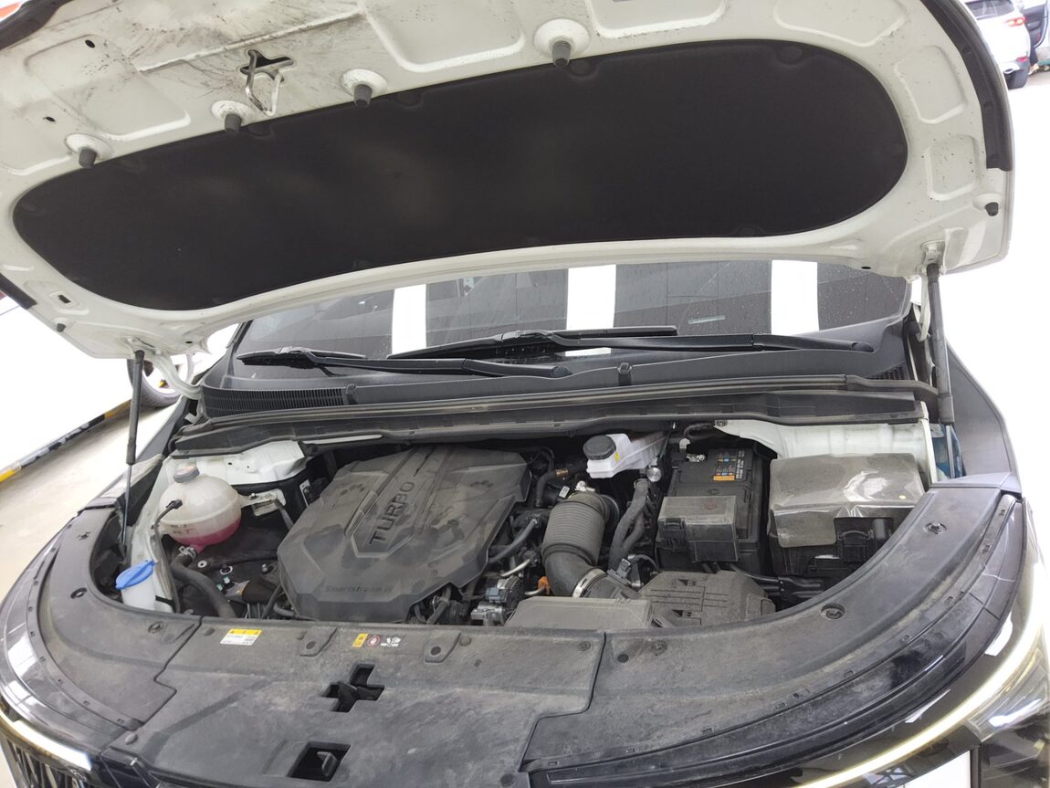 KIA THE NEW CARNIVAL (KA4) 9-SEATER DIESEL PRESTIGE 2024 - zdjęcie 20